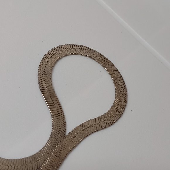 17.5 Inch Snake Chain With Dollar Signs - Picture 9 of 14